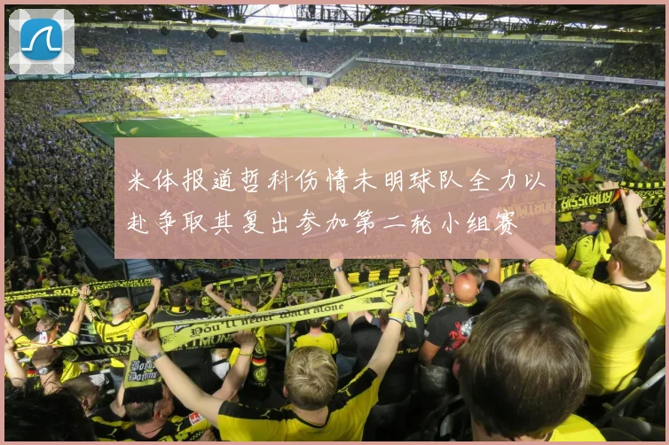 米体报道哲科伤情未明球队全力以赴争取其复出参加第二轮小组赛
