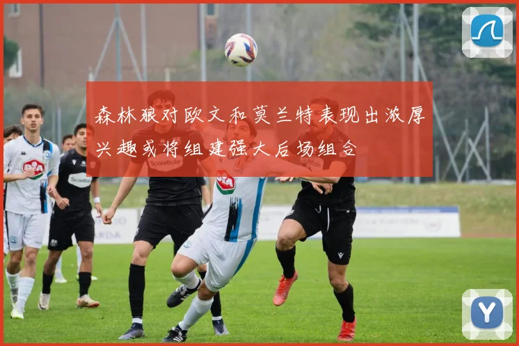 森林狼对欧文和莫兰特表现出浓厚兴趣或将组建强大后场组合